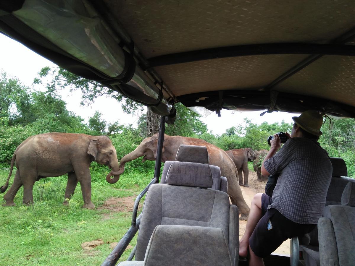 Brookline Safari Resort Uda Walawe Extérieur photo