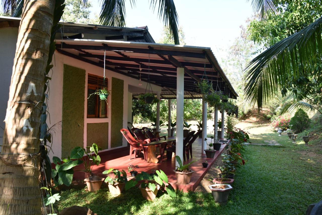 Brookline Safari Resort Uda Walawe Extérieur photo