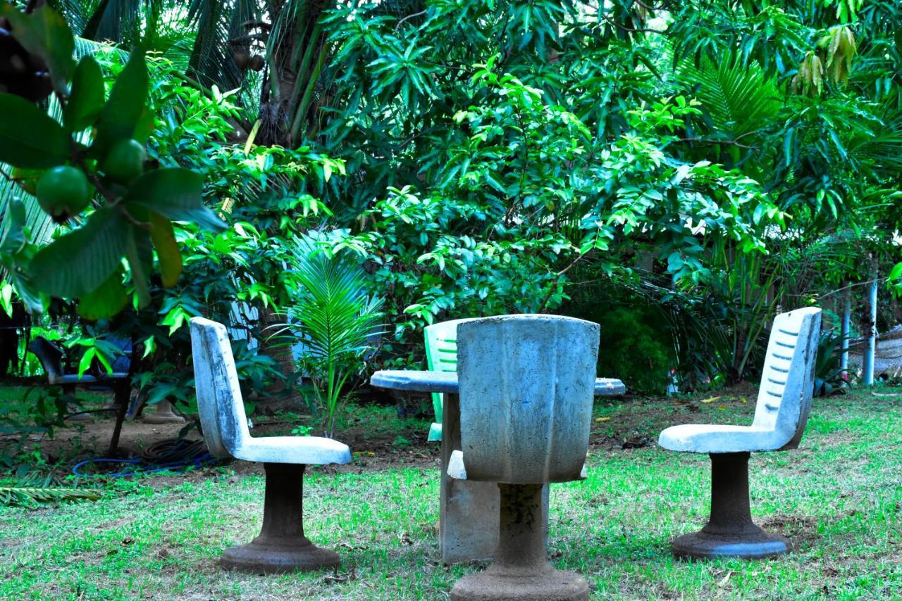Brookline Safari Resort Uda Walawe Extérieur photo
