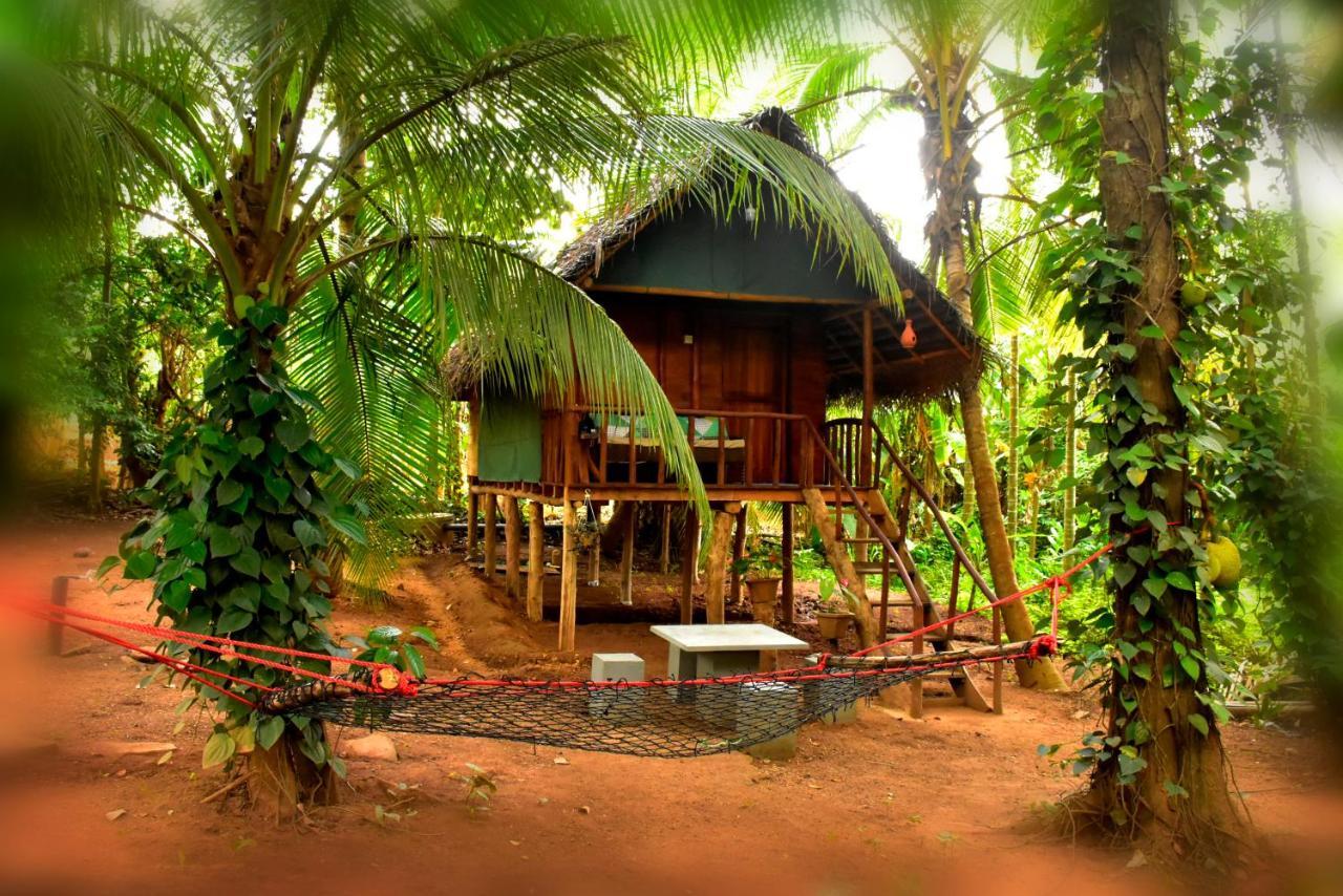 Brookline Safari Resort Uda Walawe Extérieur photo