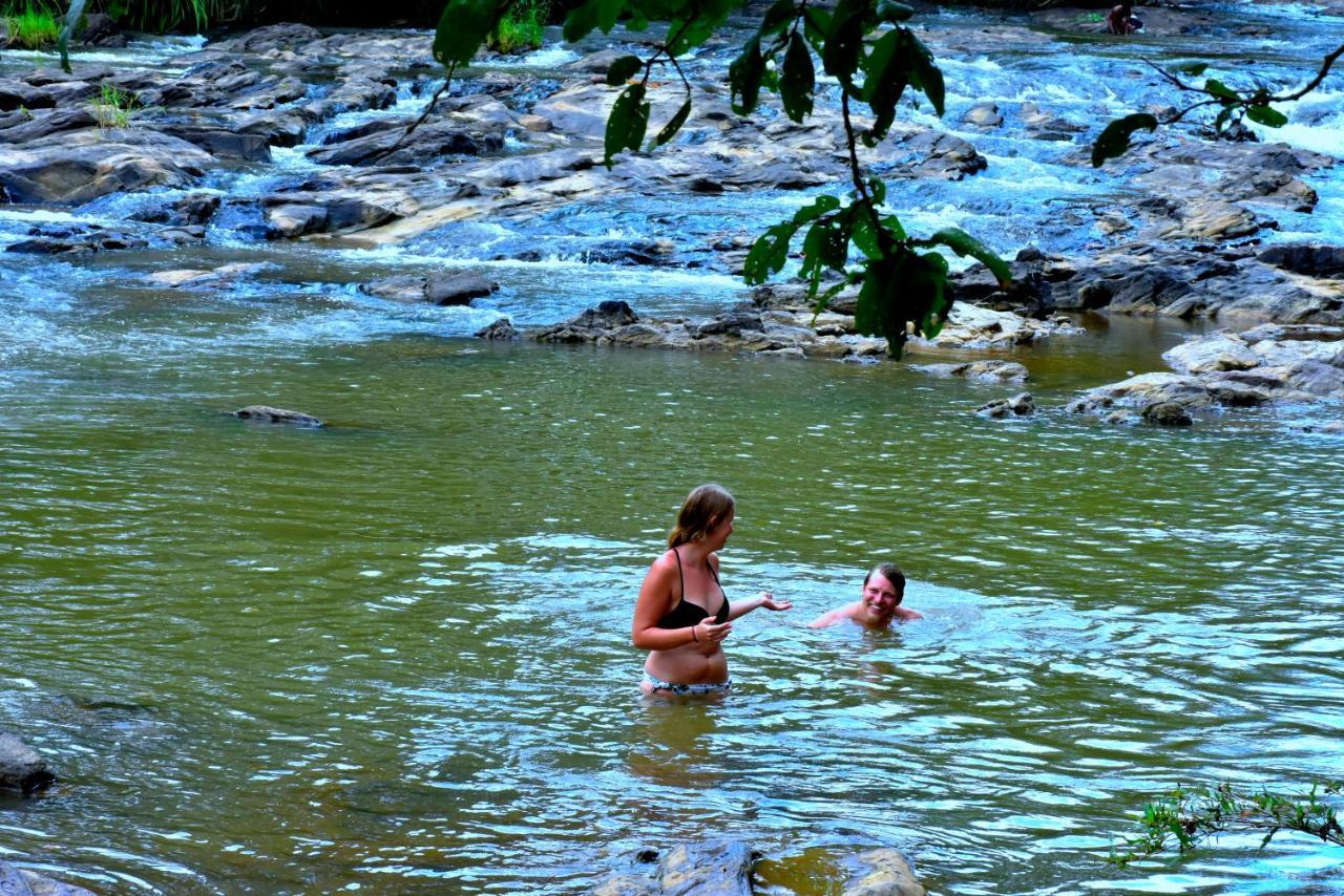 Brookline Safari Resort Uda Walawe Extérieur photo