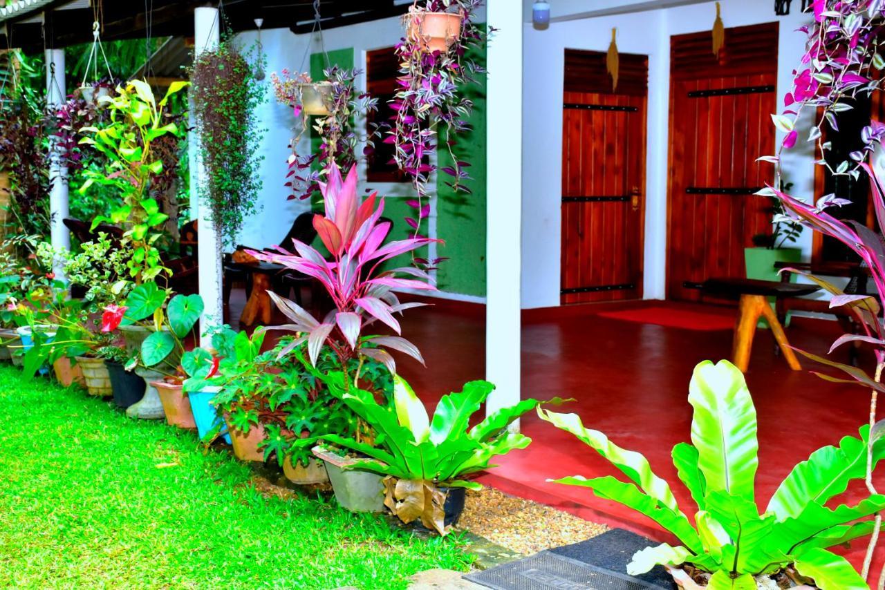 Brookline Safari Resort Uda Walawe Extérieur photo