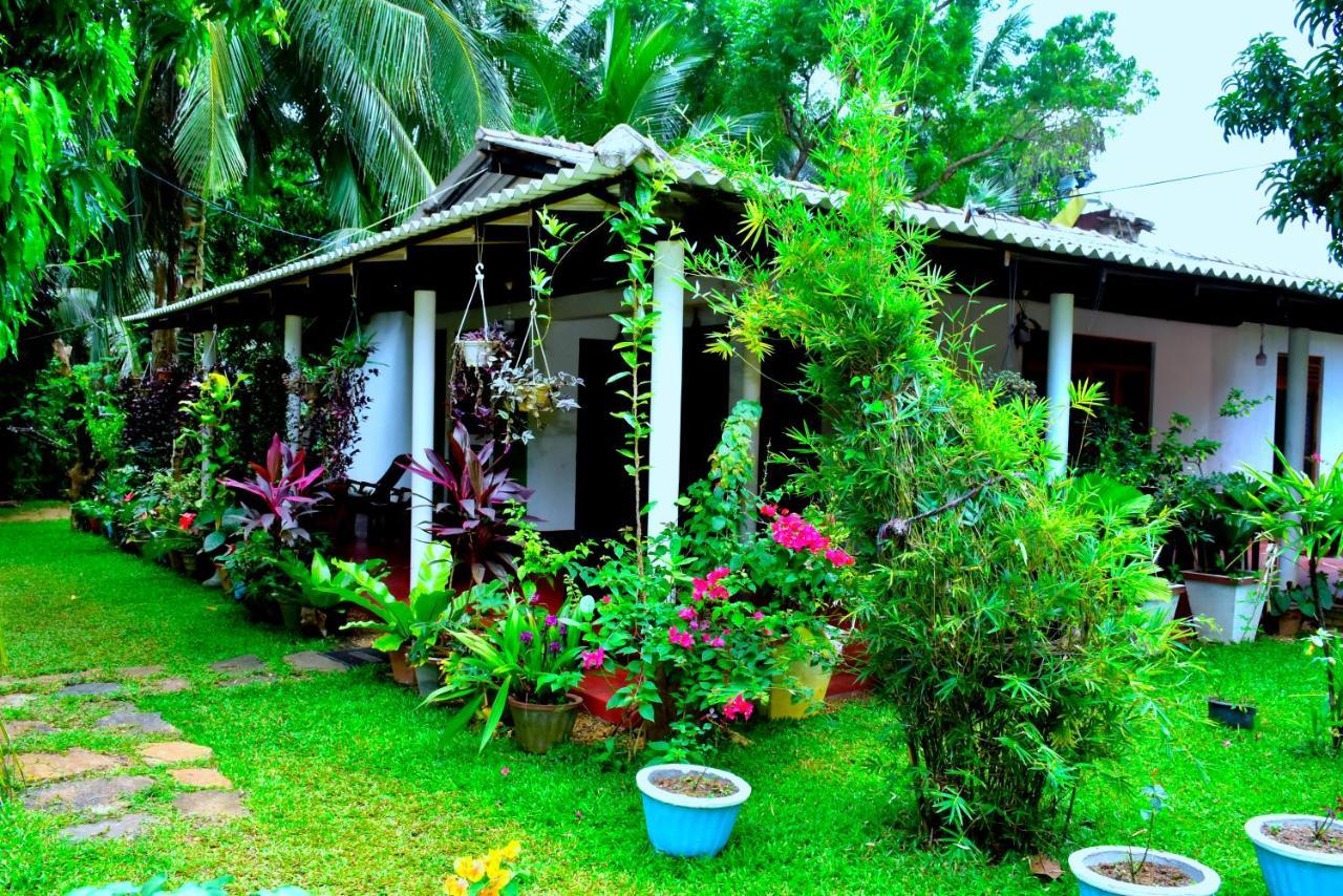 Brookline Safari Resort Uda Walawe Extérieur photo
